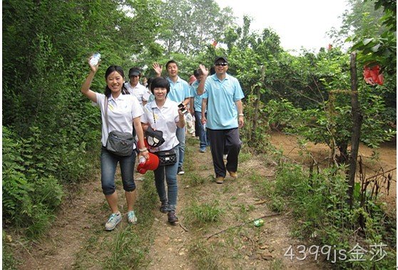 公司组织樱桃采摘活动