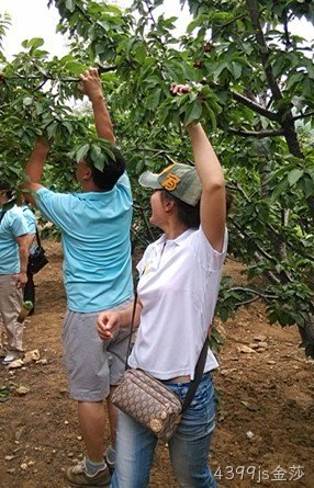 南宁4399js金莎化工科技开发有限公司